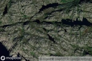 Tvitjorn