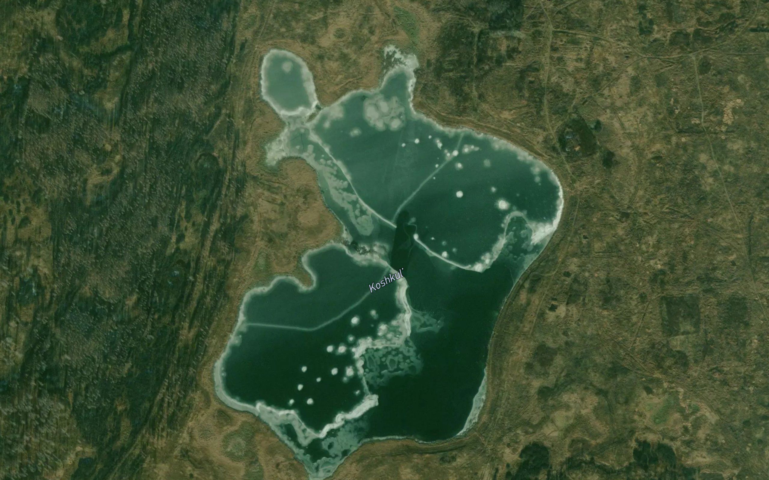 Ozero Koshkul'
