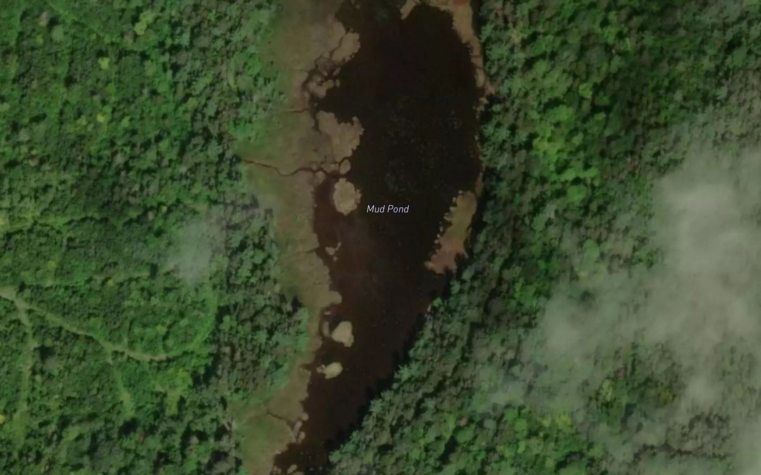 Mud Pond