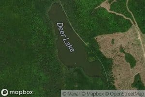 Deer Lake