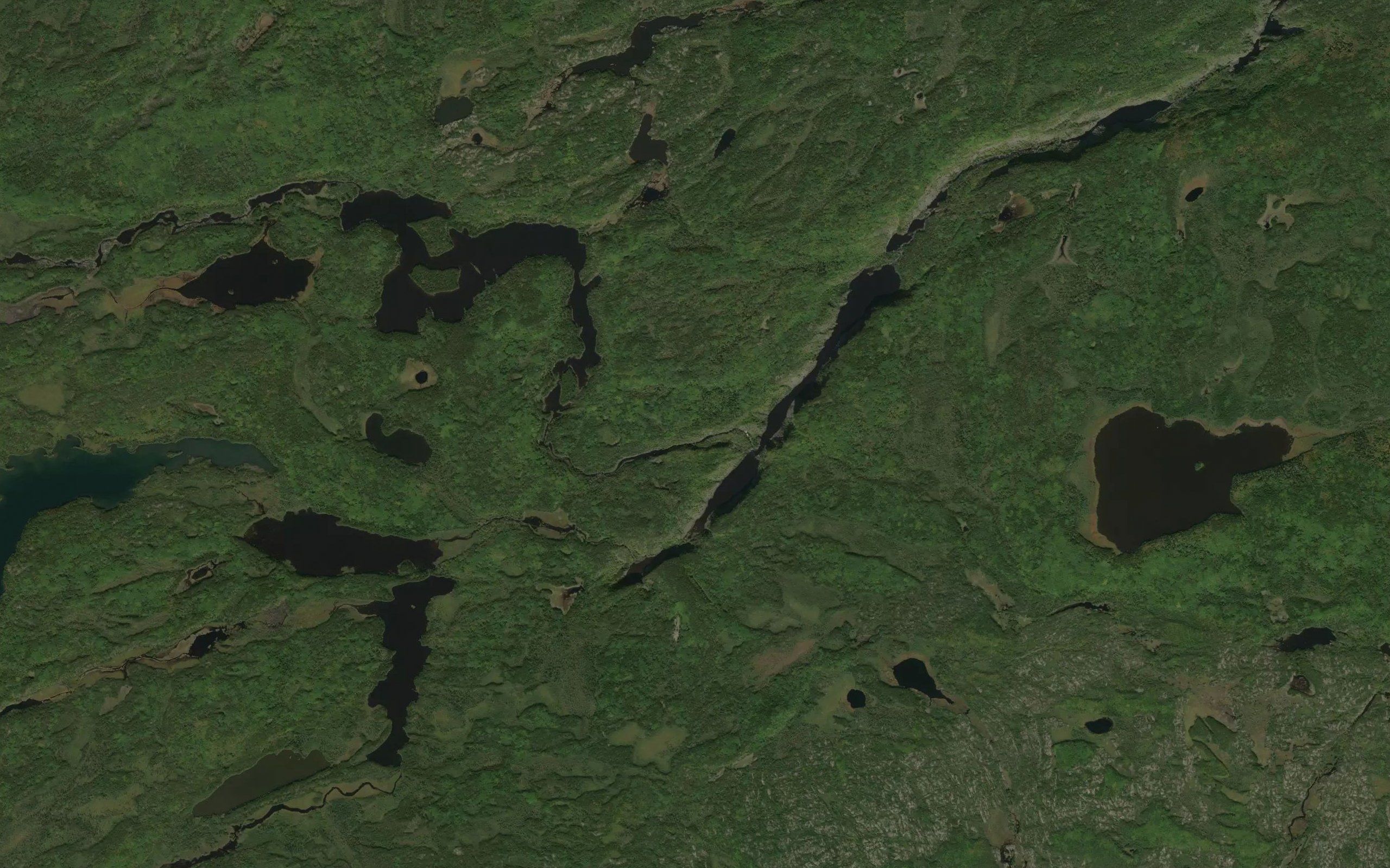 Goosander Creek