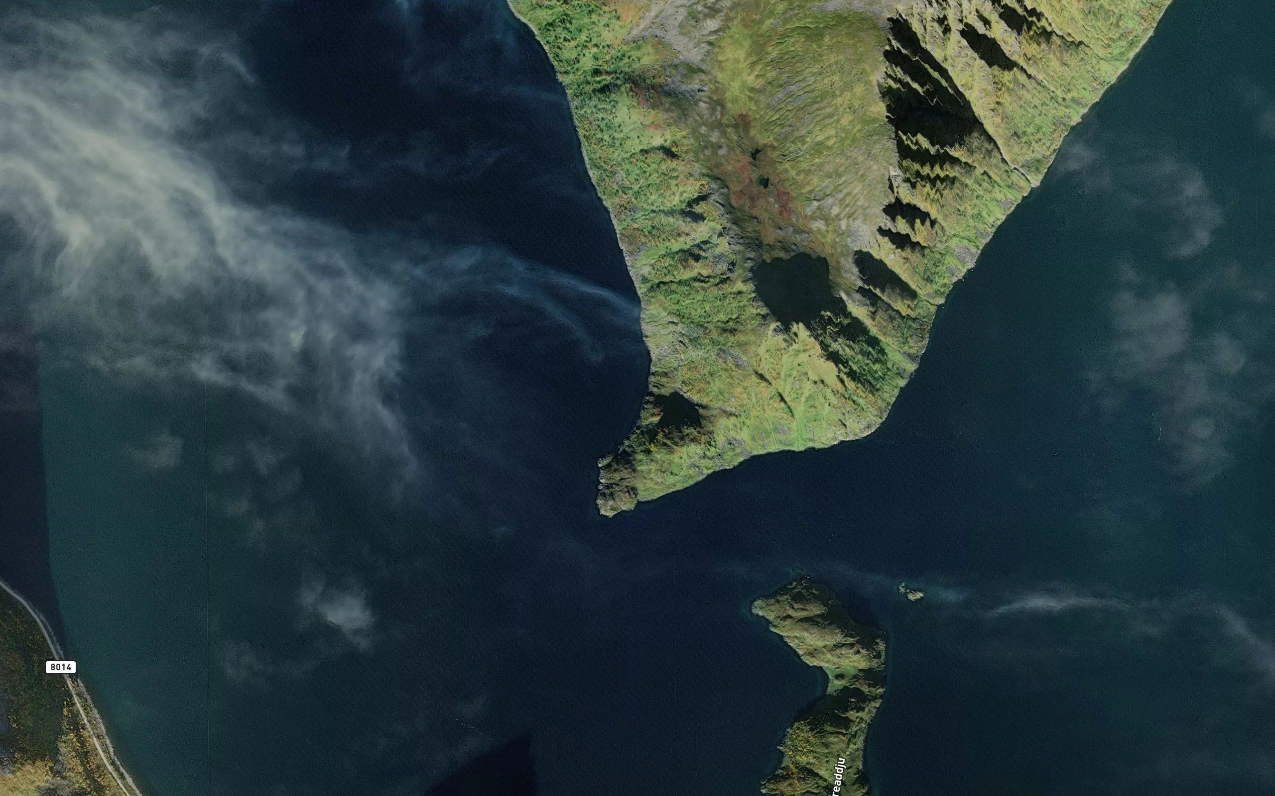 Vassvik