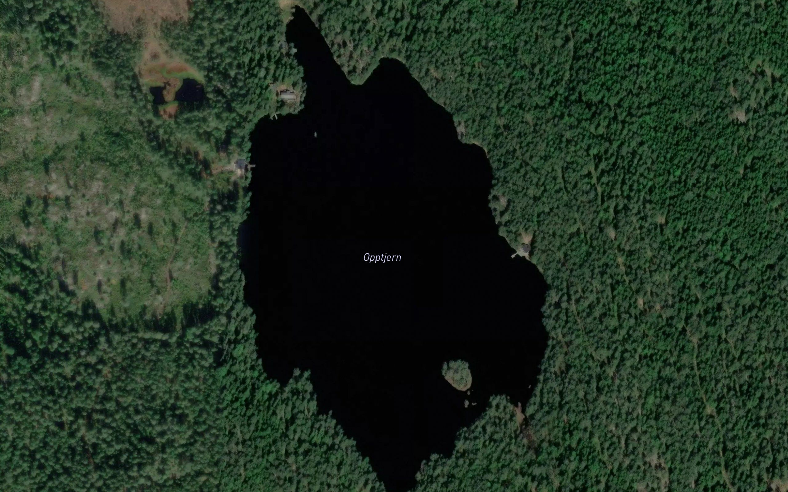 Opptjern
