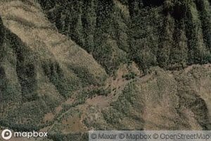 Straight Forward Creek