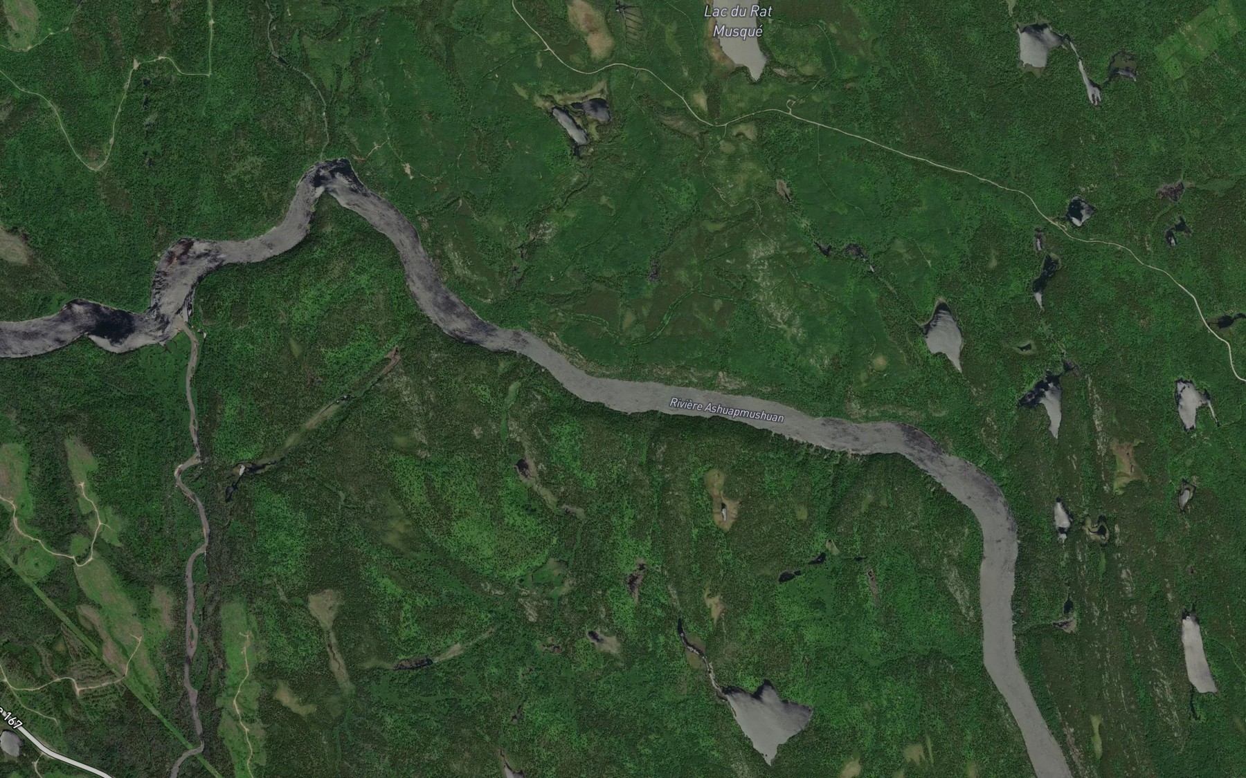 Satellite map of the Rapides Pas de Fond