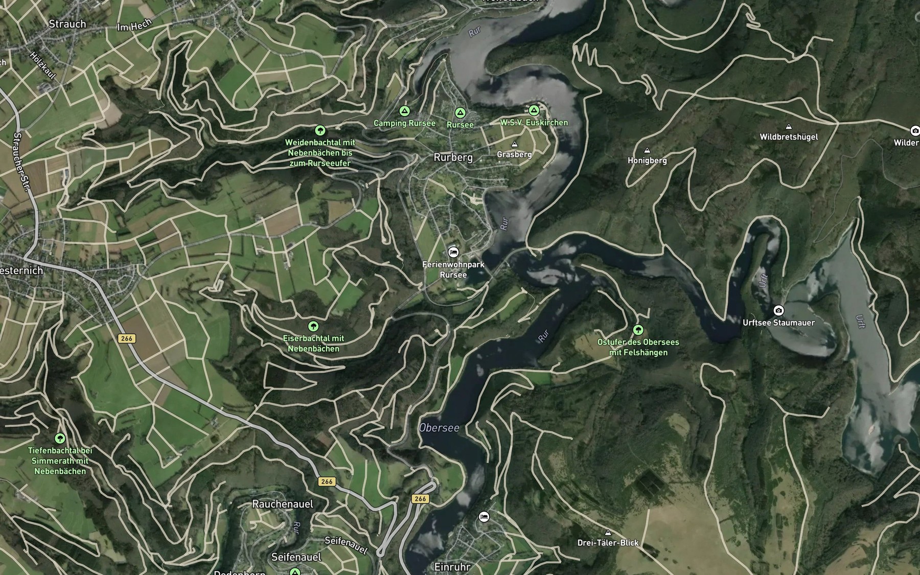 Satellite map of the Eiserbach