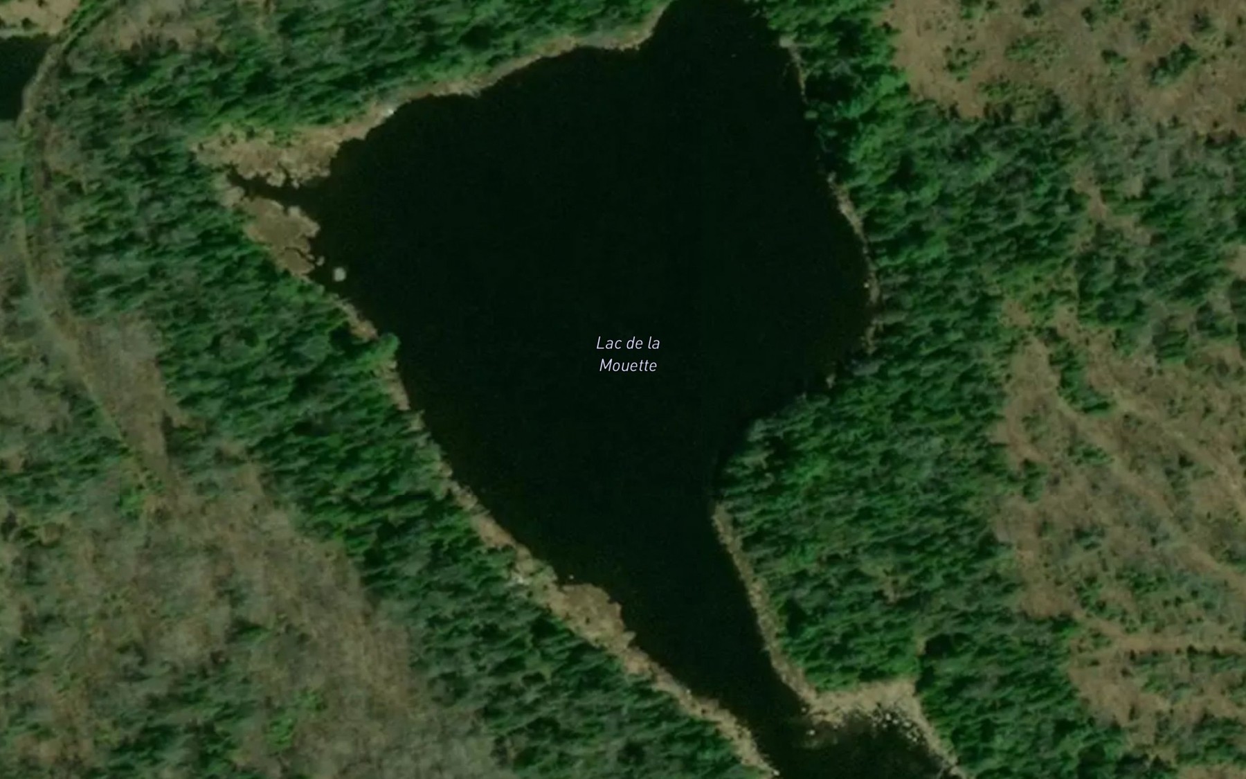 Satellite map of the Lac de la Mouette