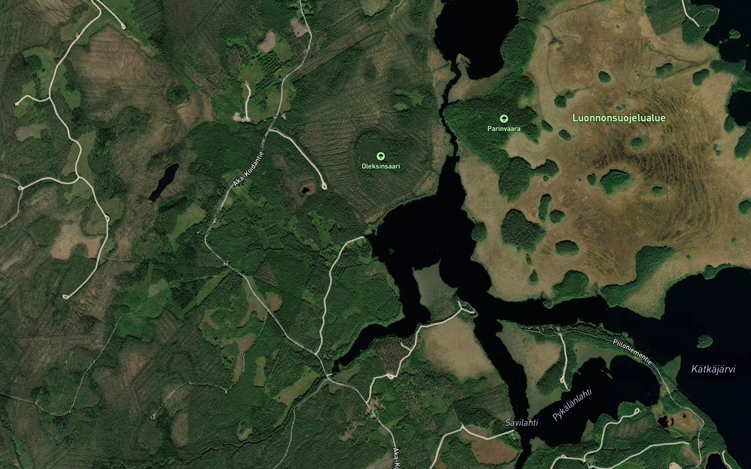 Tuohivalkama
