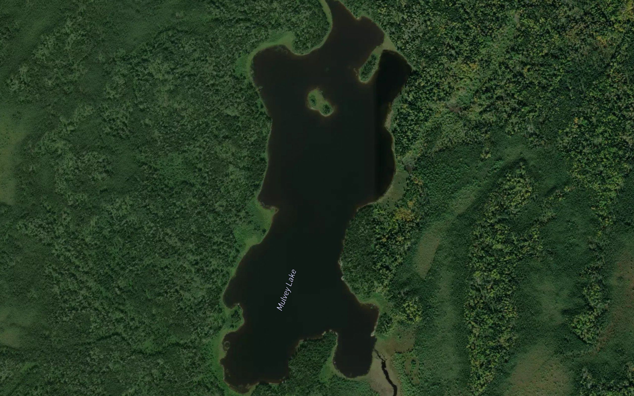 Mulvey Lake