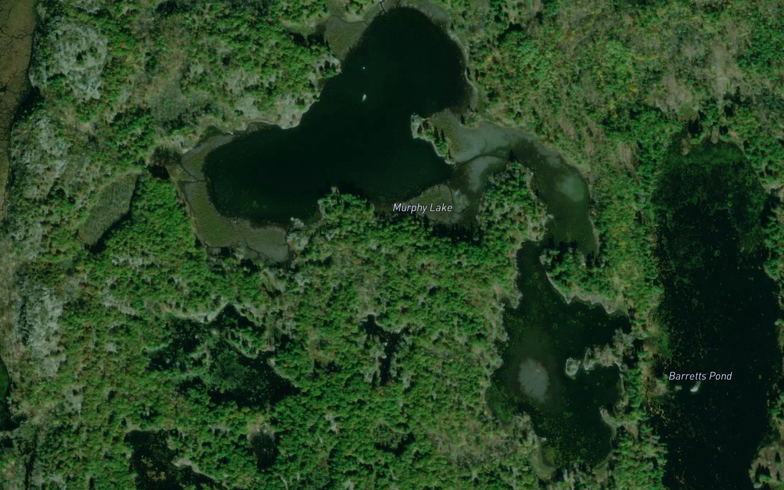Murphy Lake