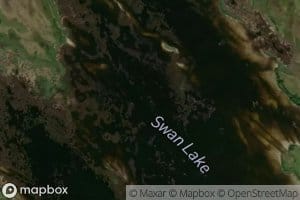 Swan Lake