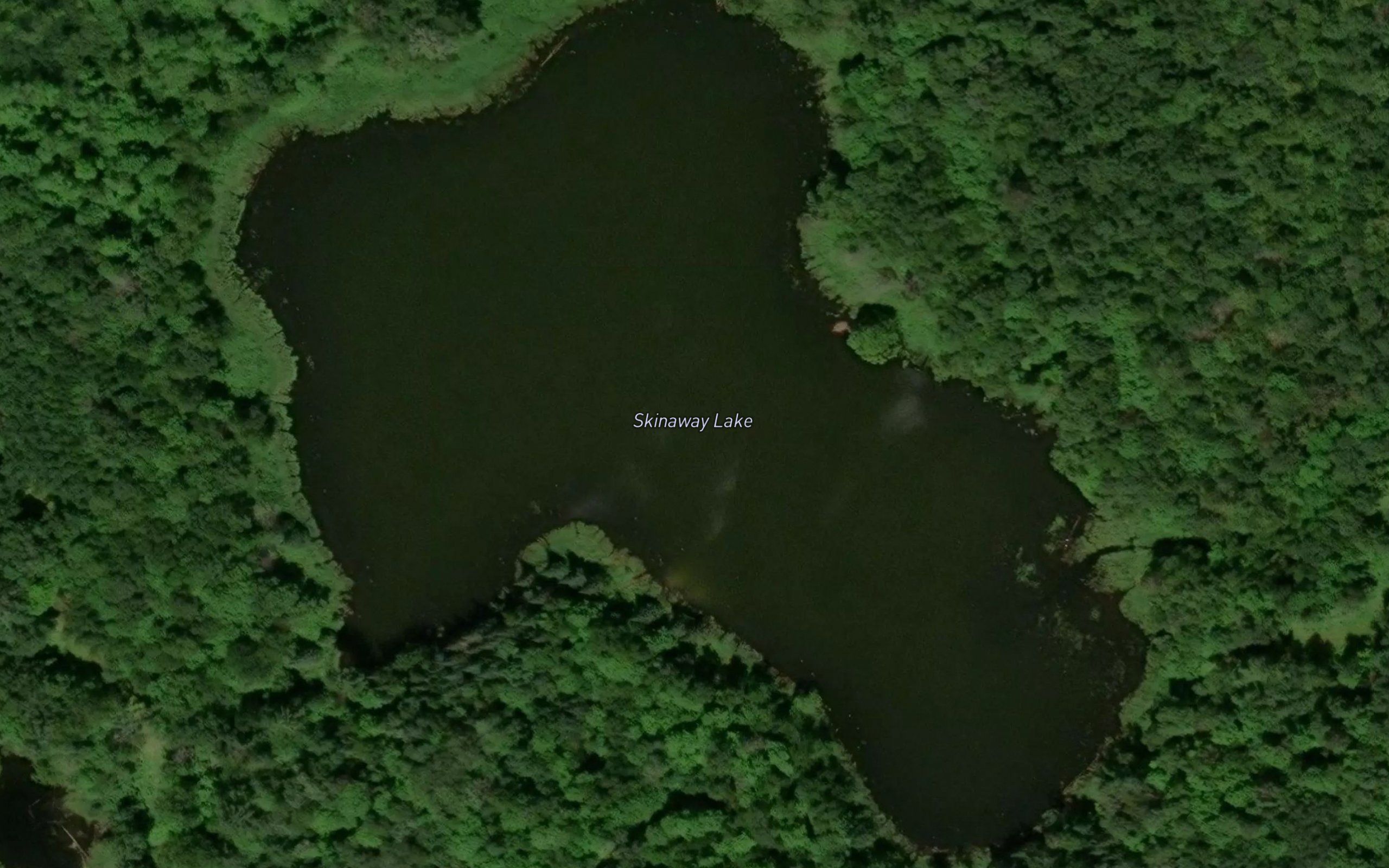 Skinaway Lake