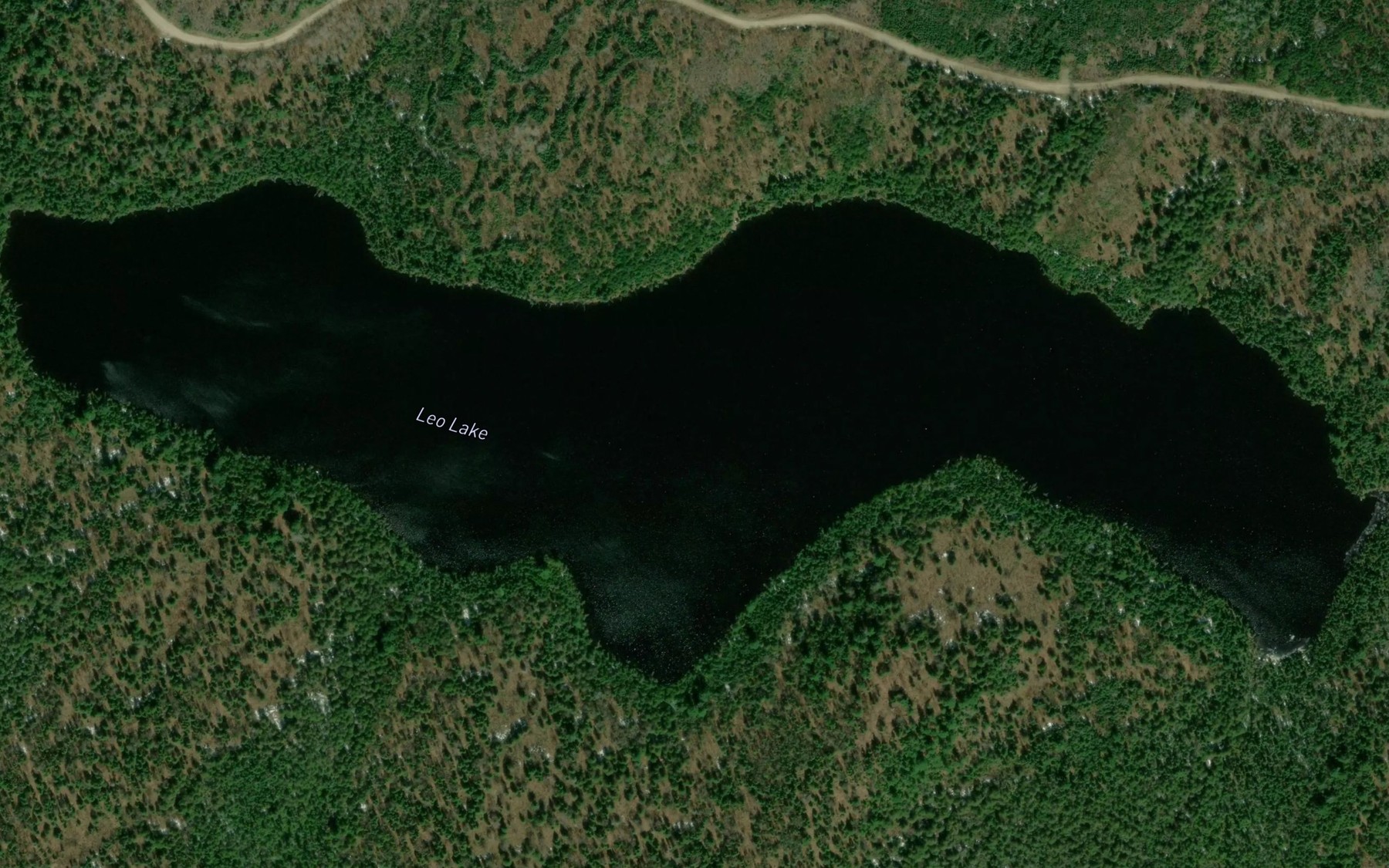 Satellite map of the Leo Lake