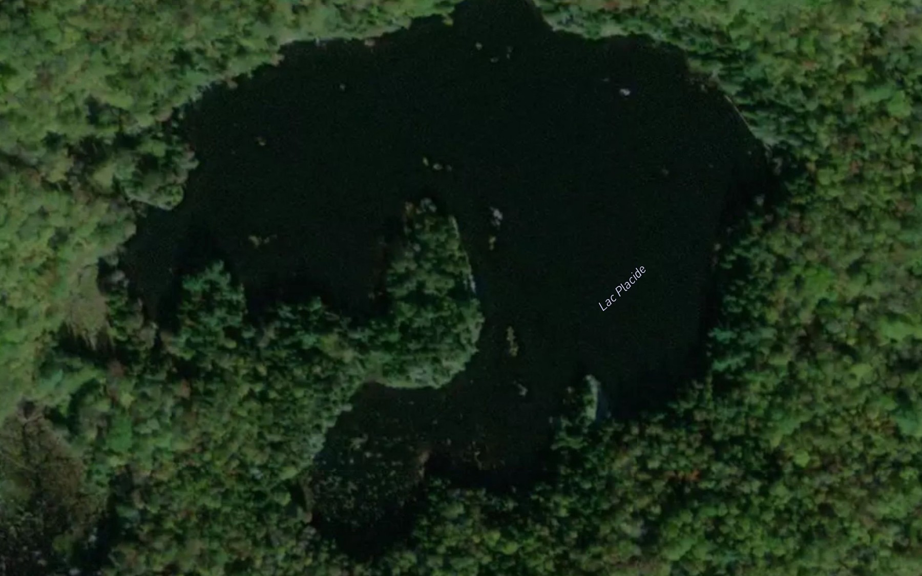 Satellite map of the Lac Placide
