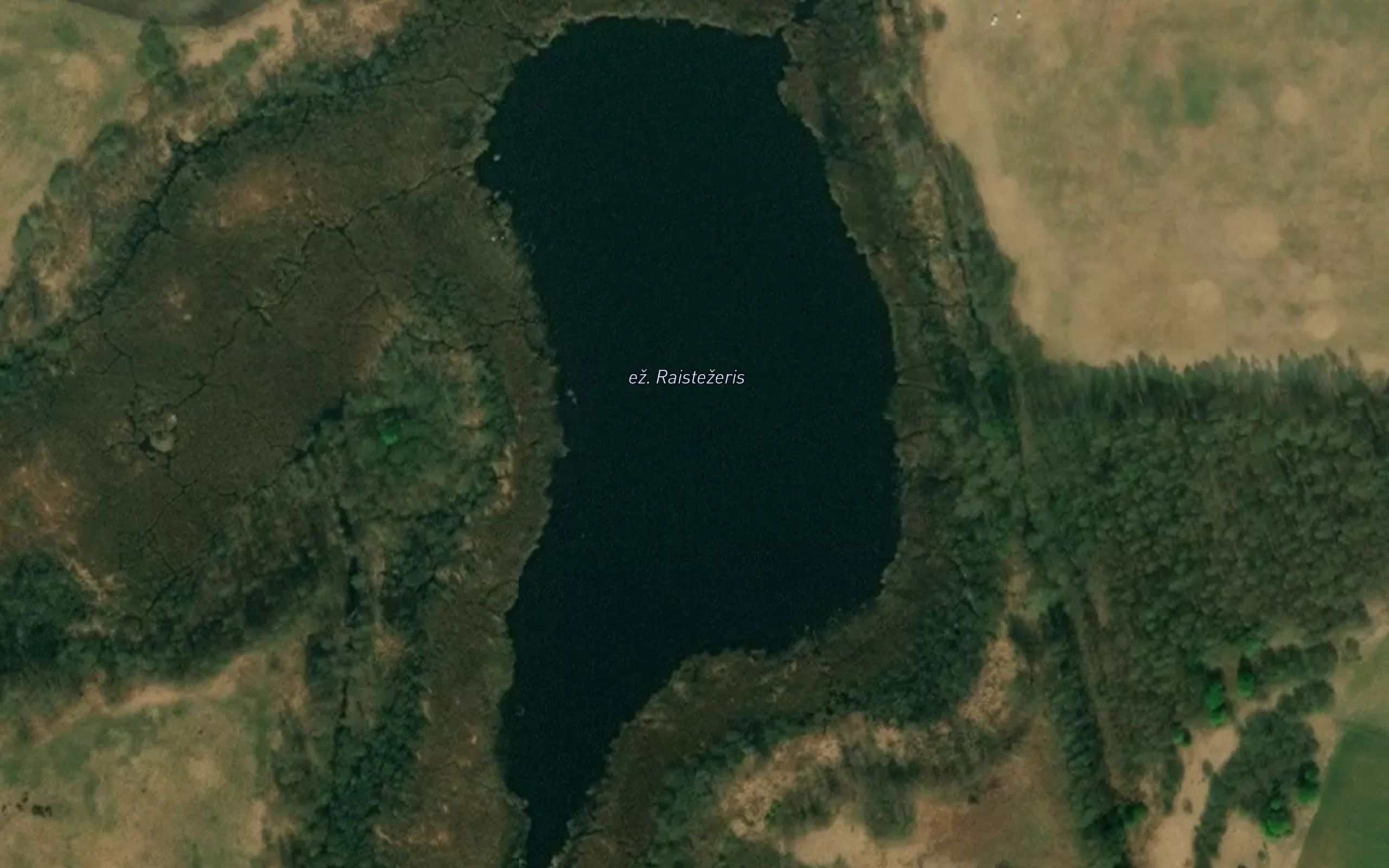 Raistezeris