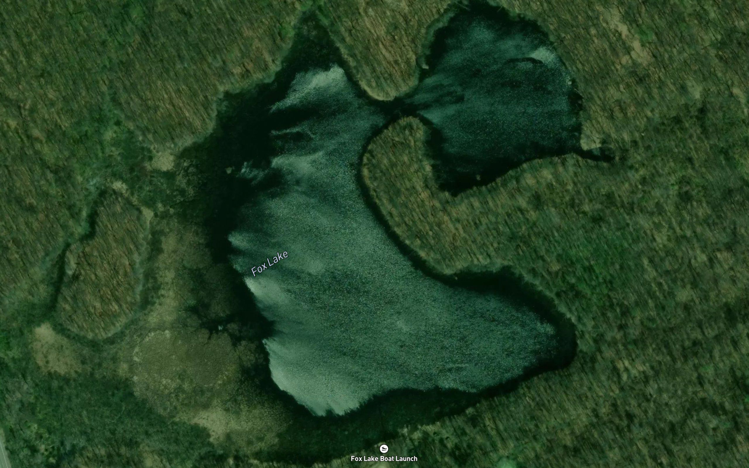 Fox Lake