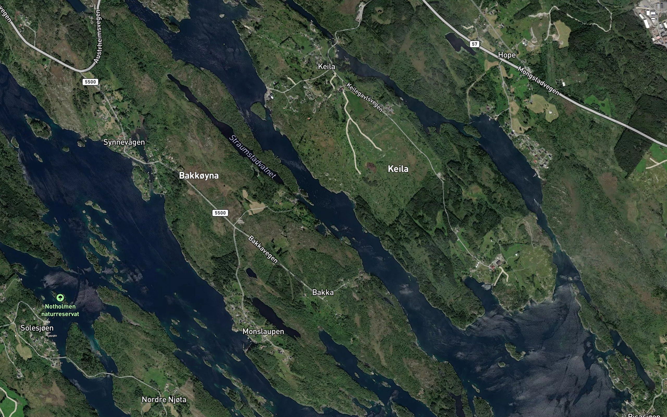 Breidvikflui