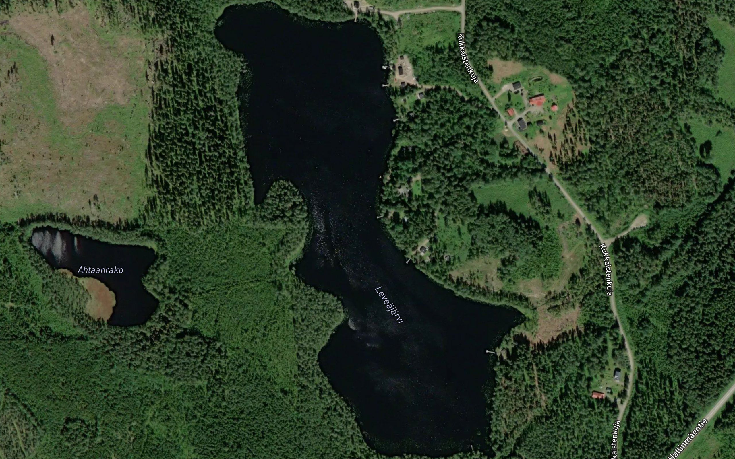 Leveajarvi