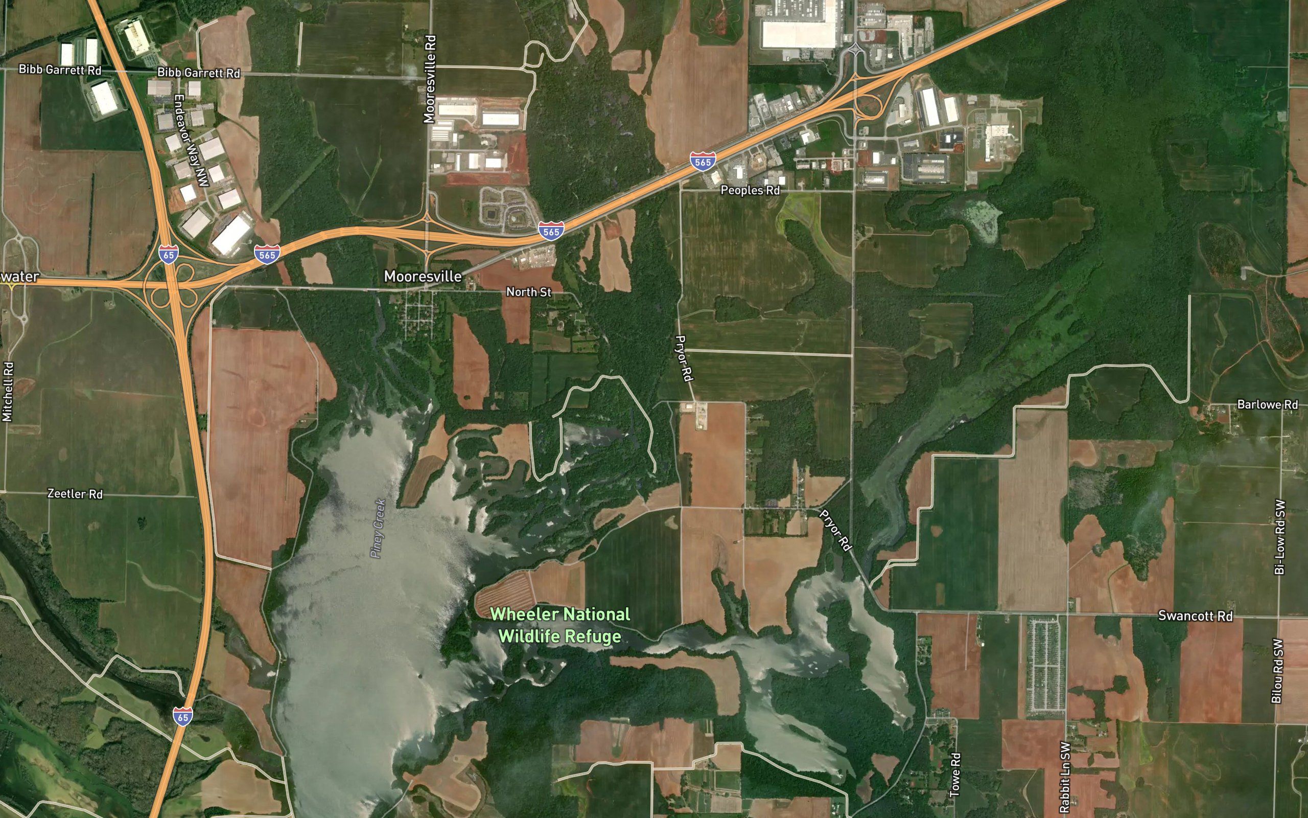 Limestone Slough
