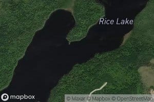 Rice Lake