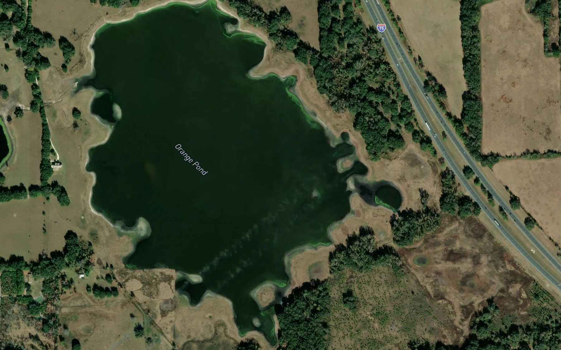 Satellite map of the Orange Pond