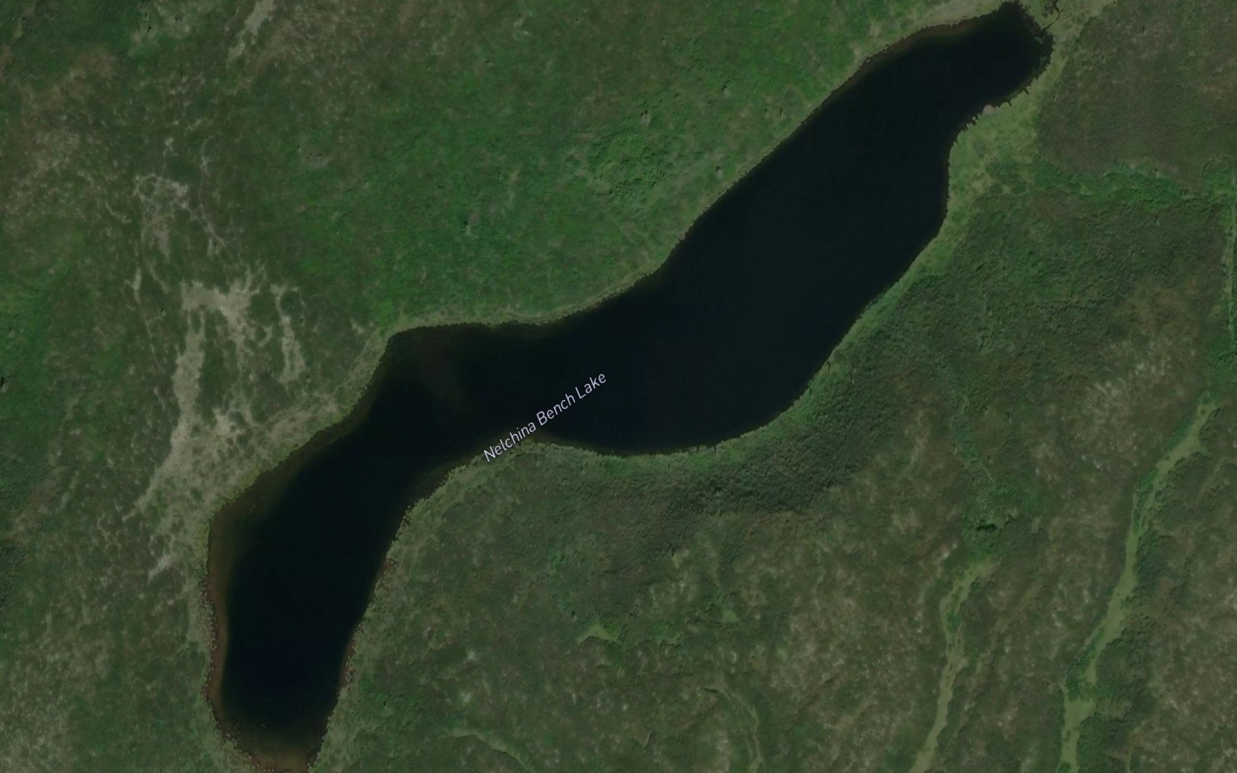 Satellite map of the Nelchina Bench Lake
