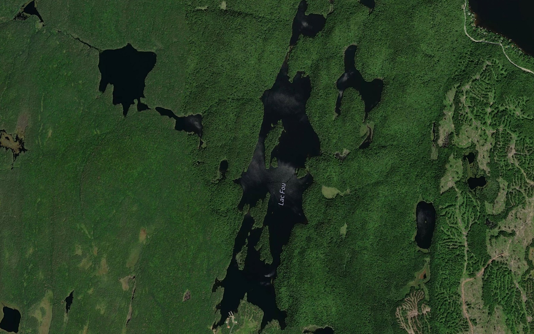 Satellite map of the Lac Fou