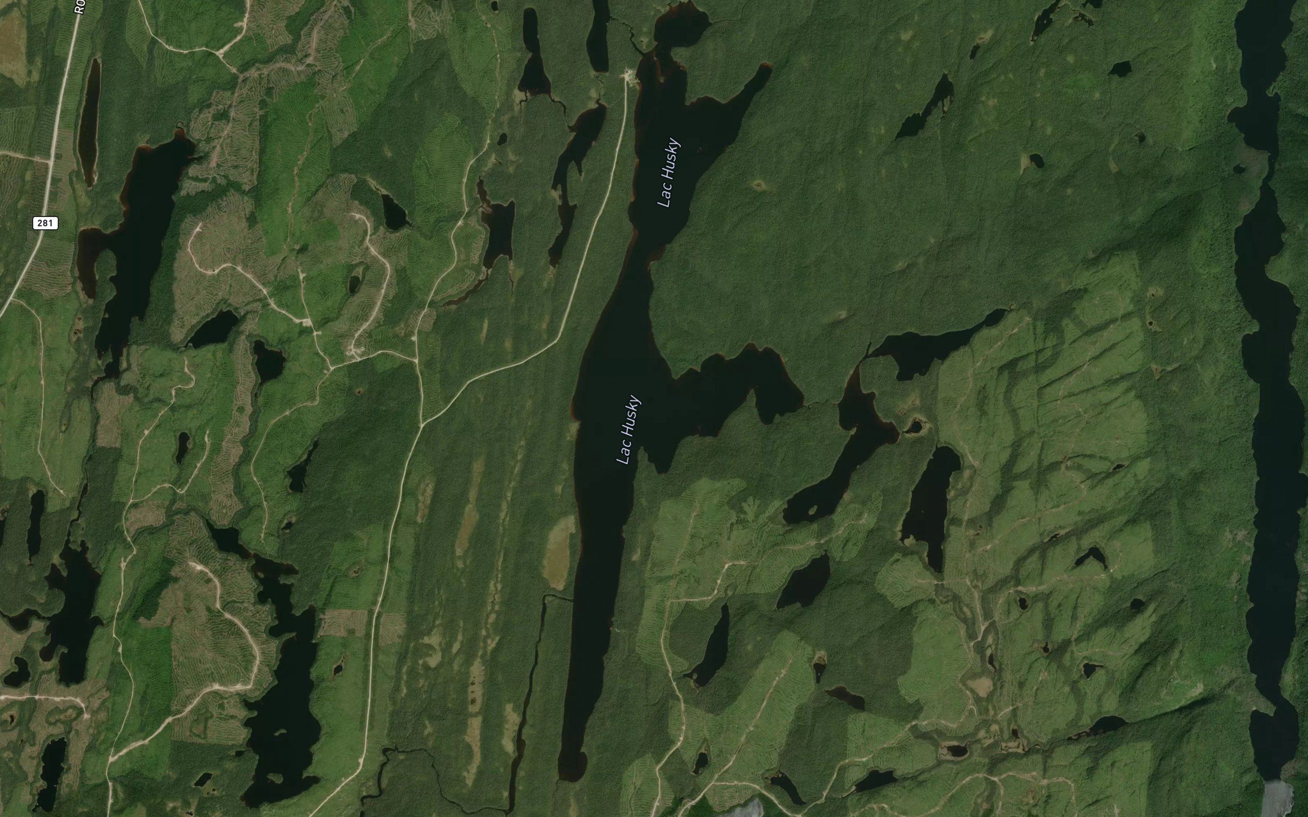 Lac Husky