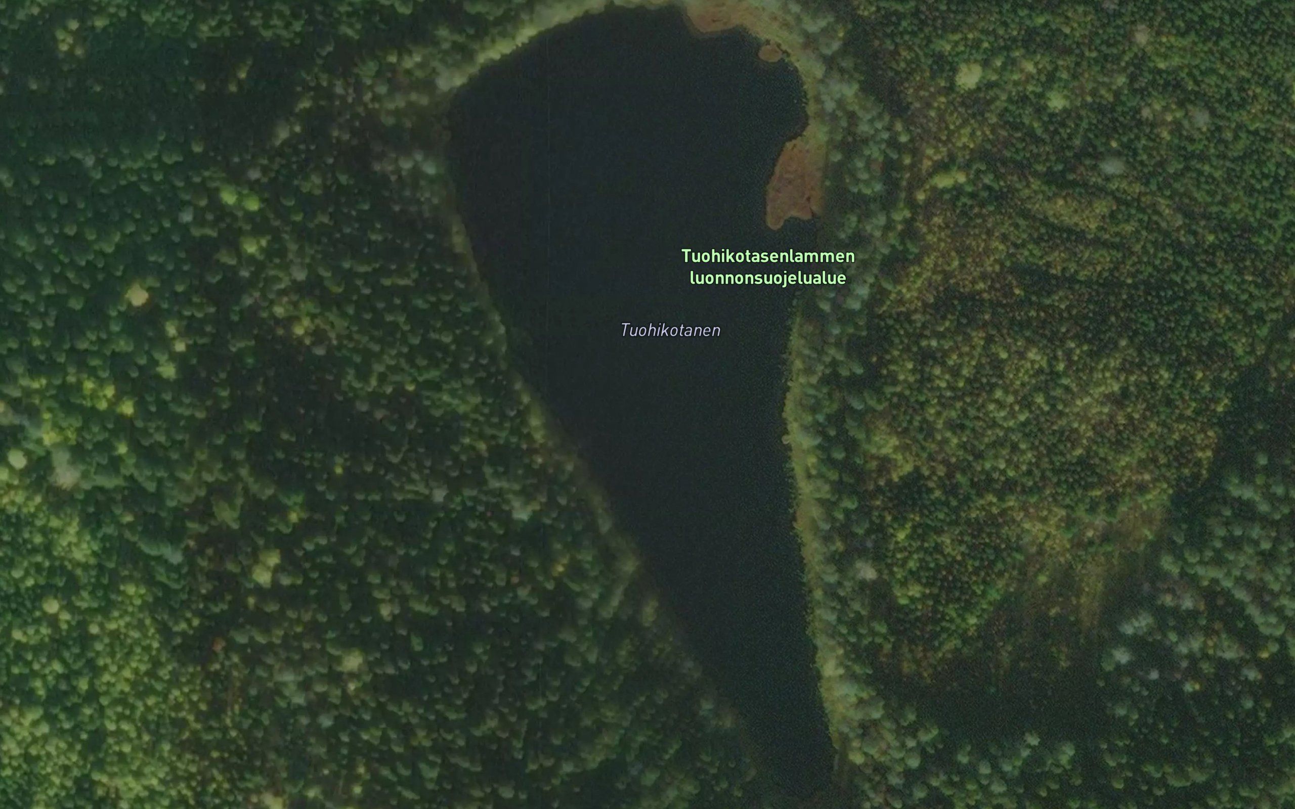 Tuohikotanen