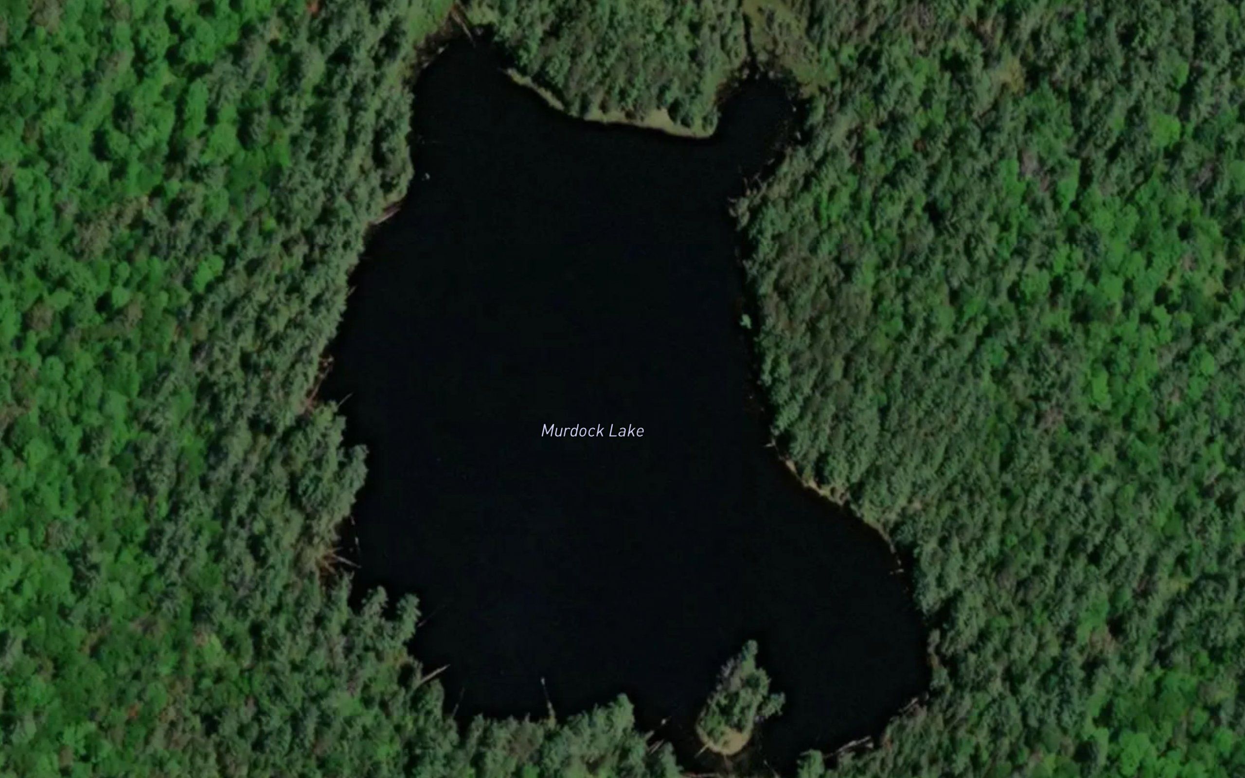 Murdock Lake