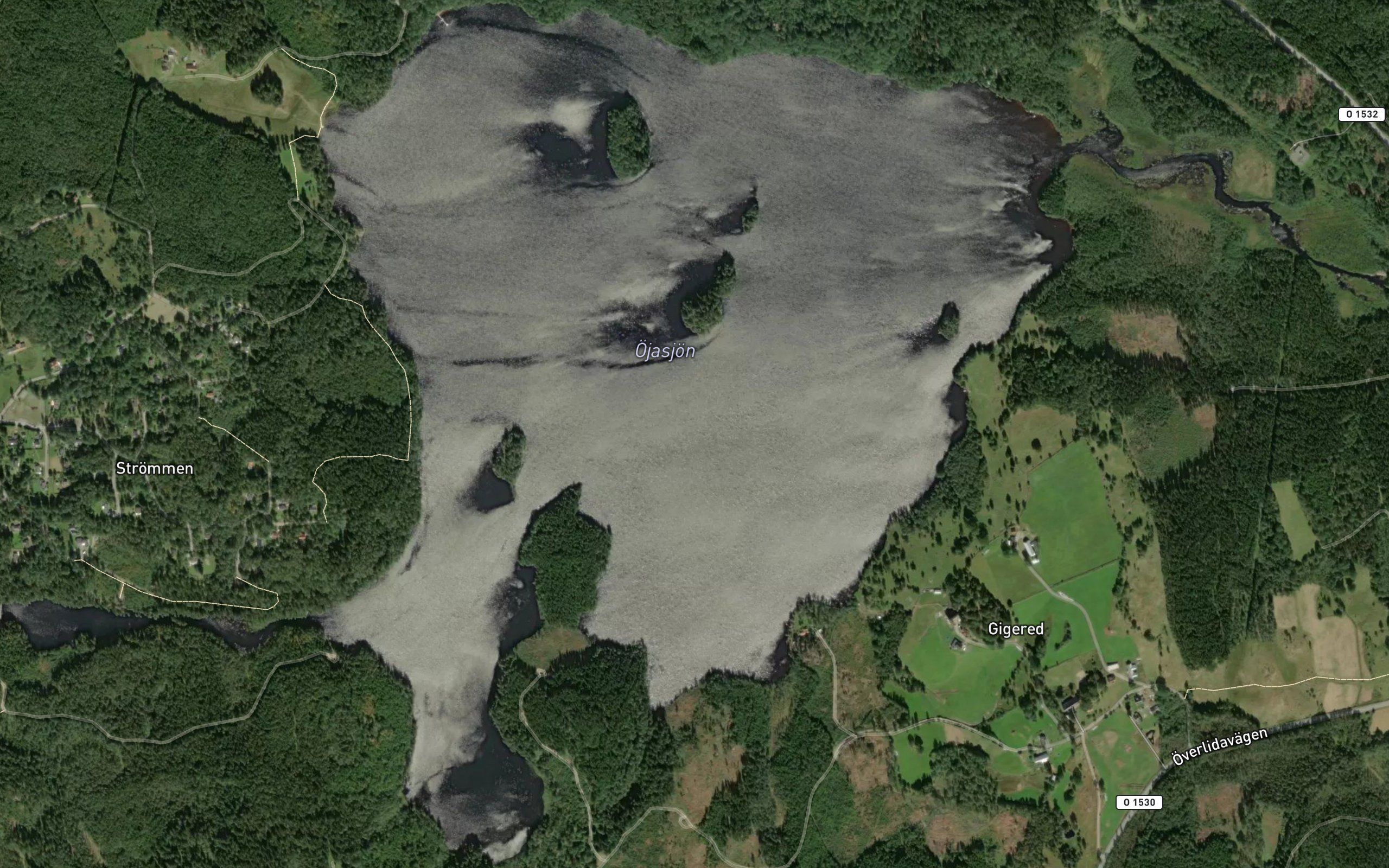 Ojasjon