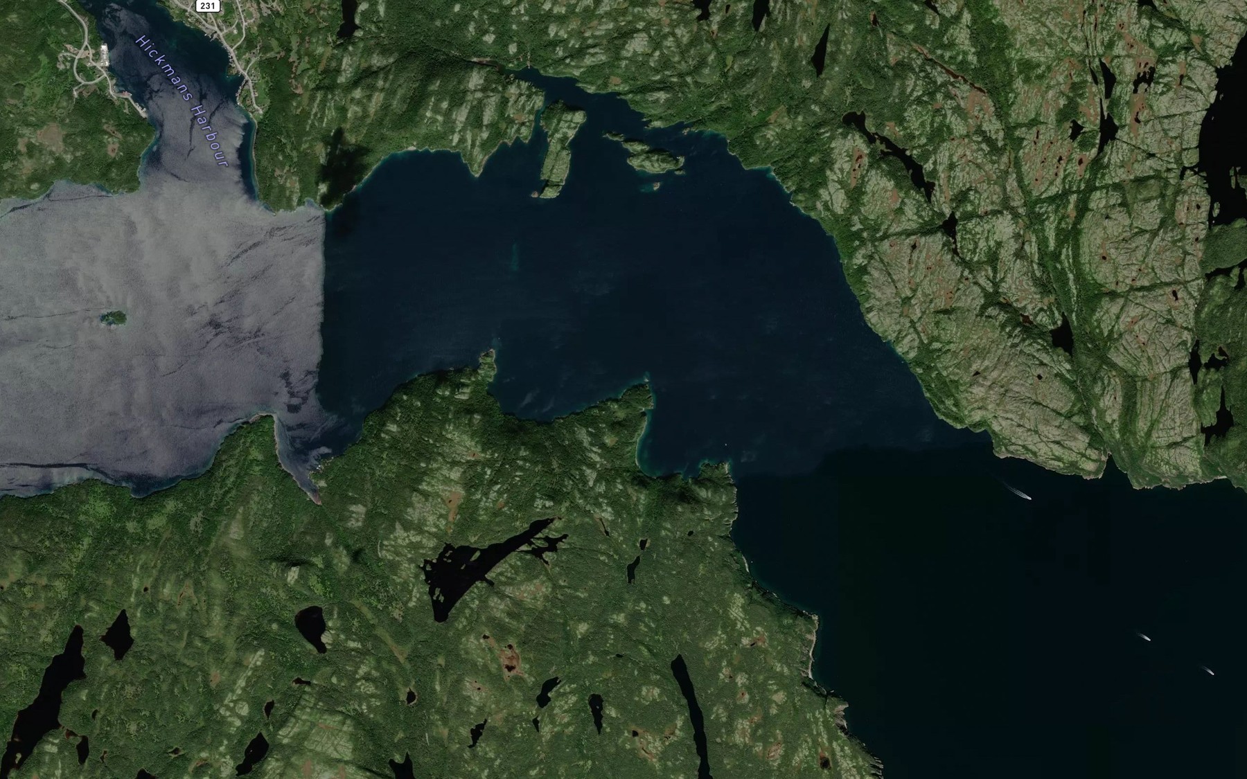Satellite map of the Passenger Cove