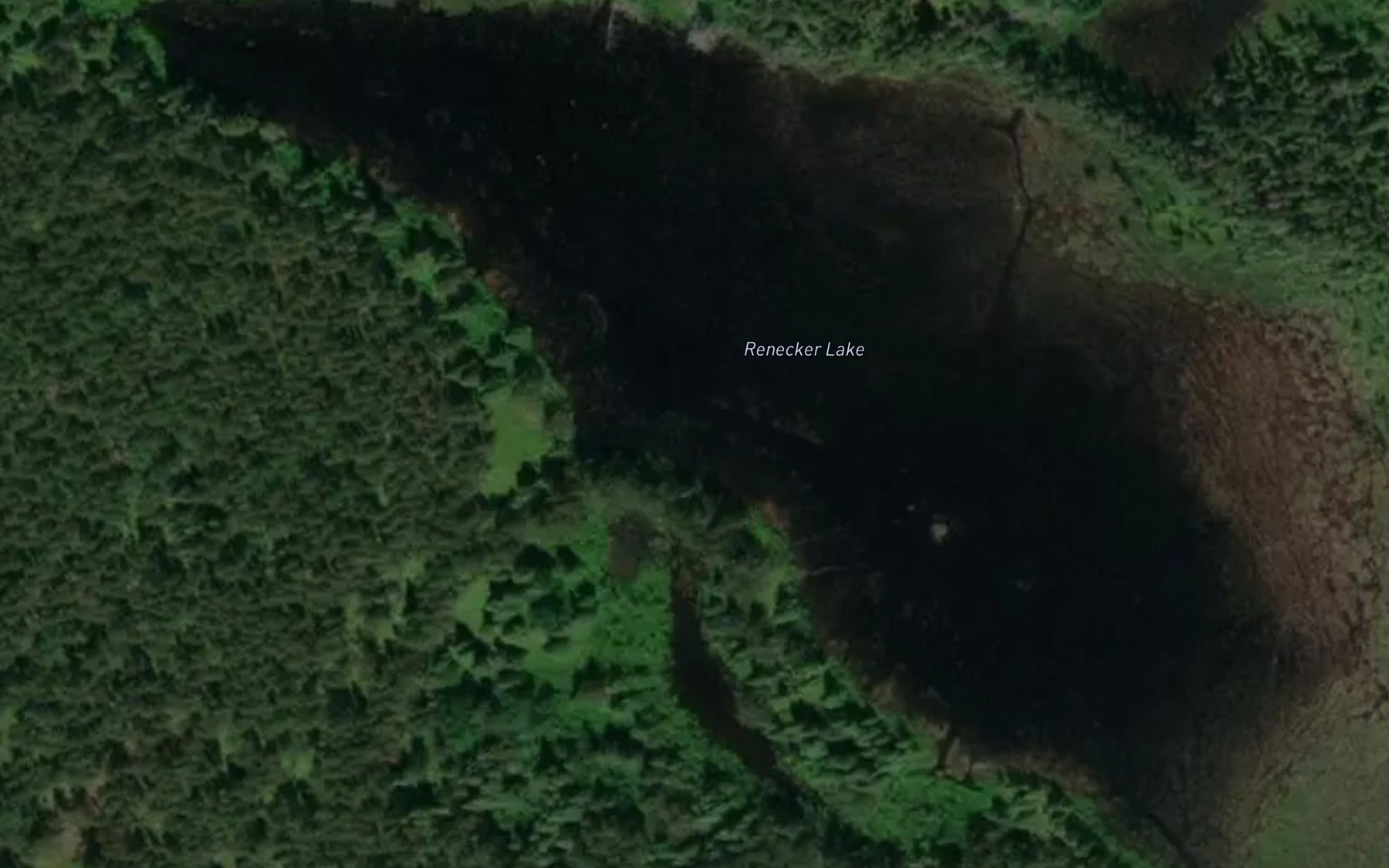 Satellite map of the Renecker Lake