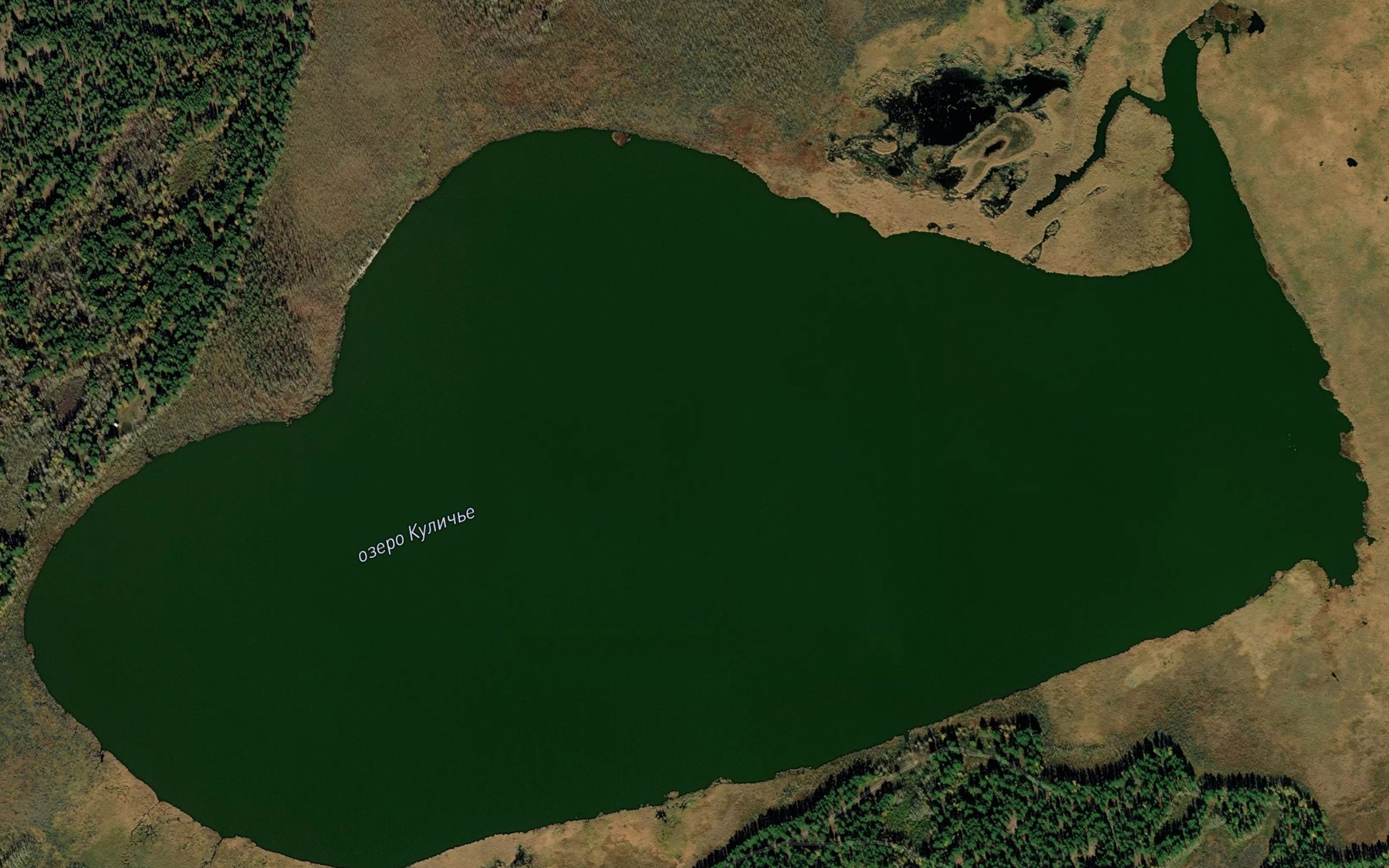Satellite map of the Ozero Kulich'ye