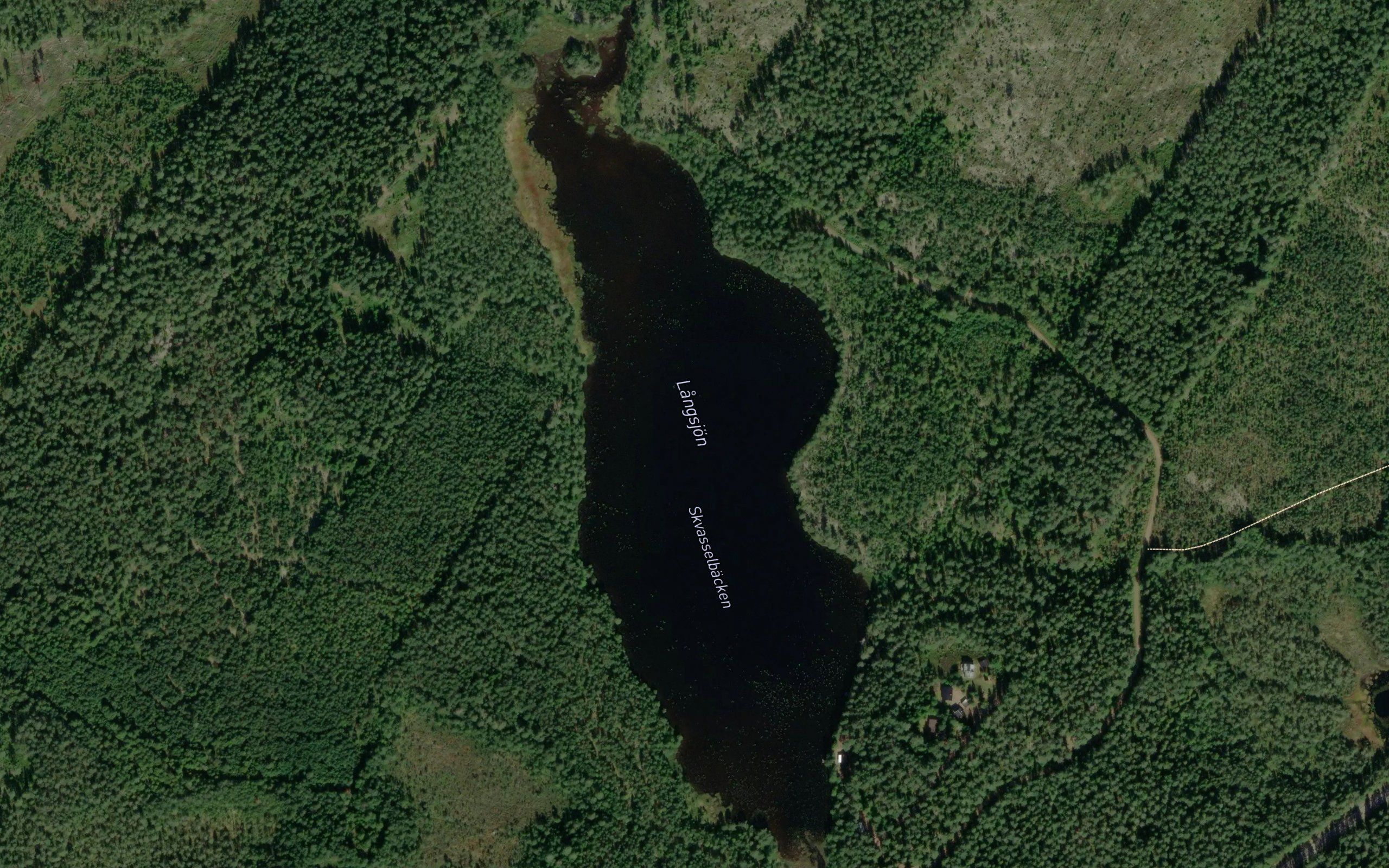 Langsjoen