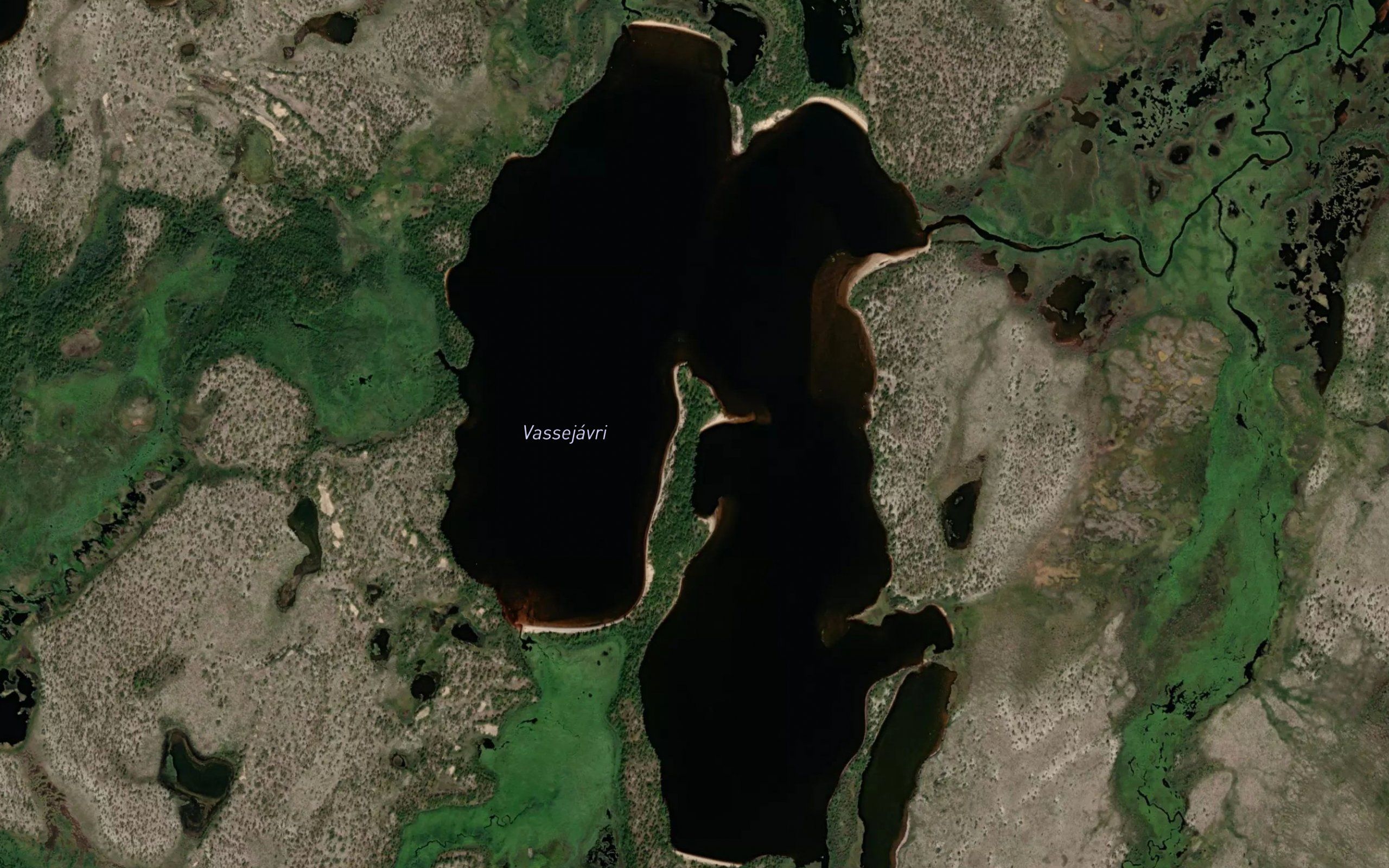 Vassejavri