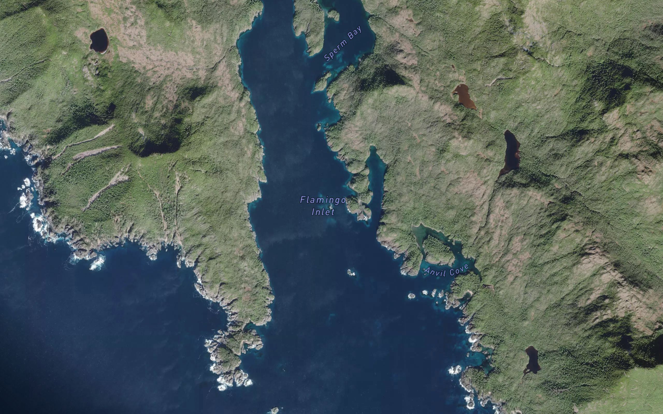 Sargison Reef