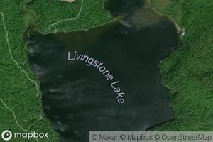 Livingstone Lake