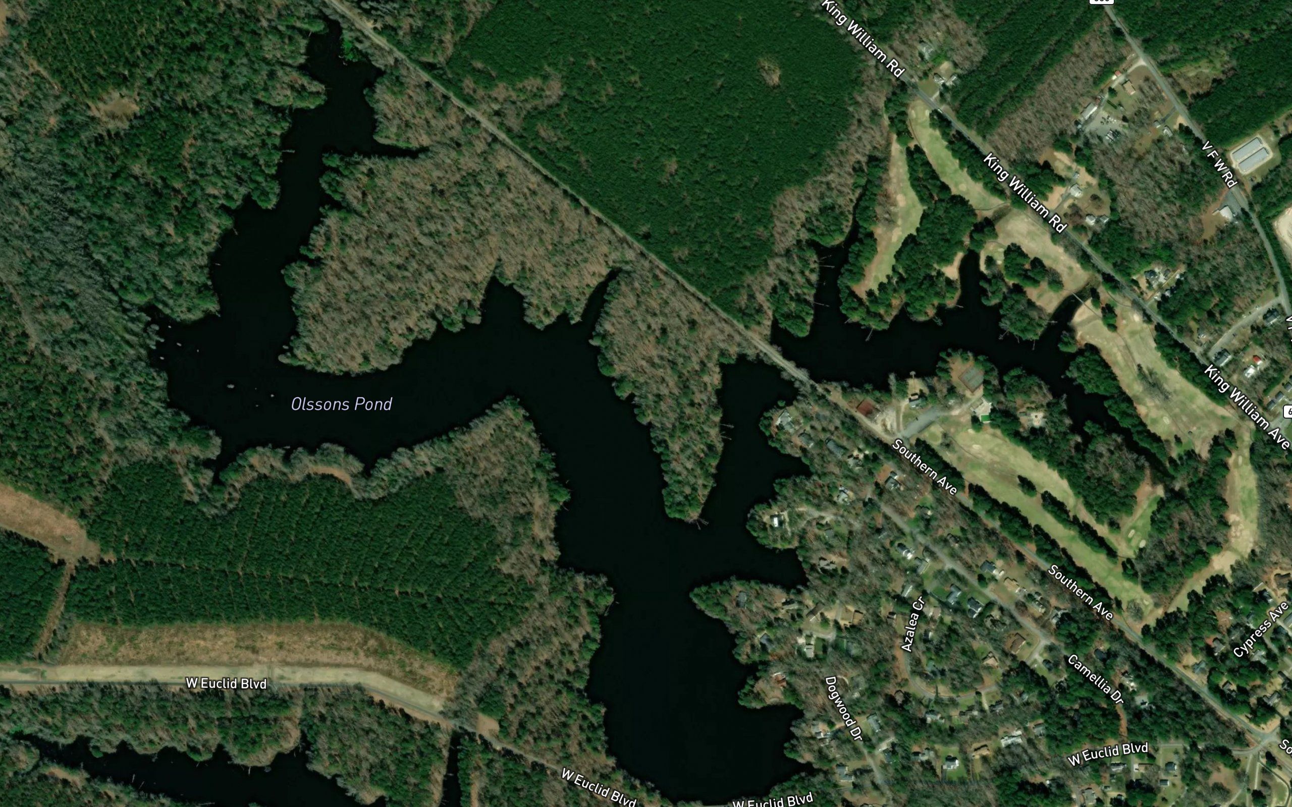 Olssons Pond