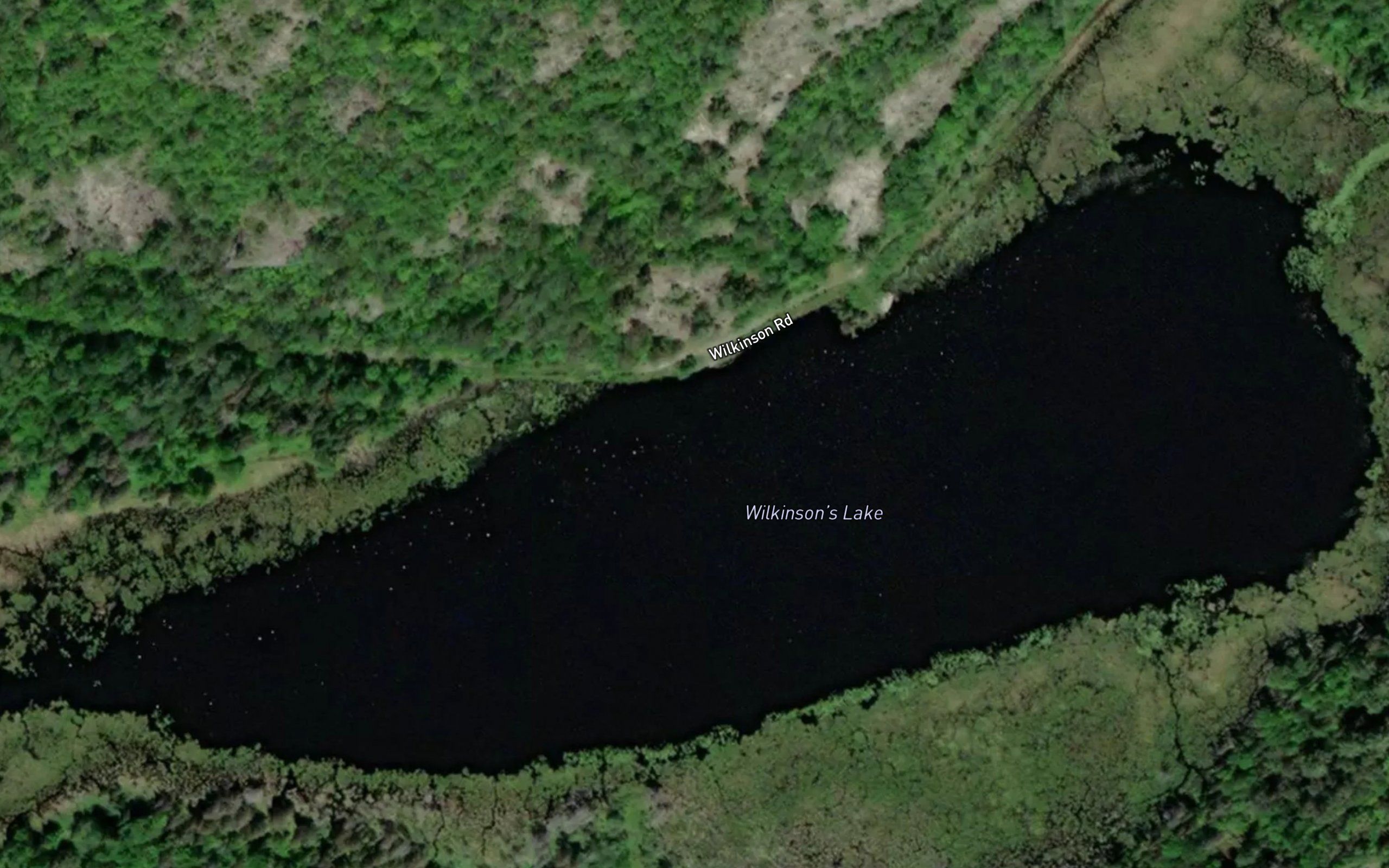 Wilkinson's Lake
