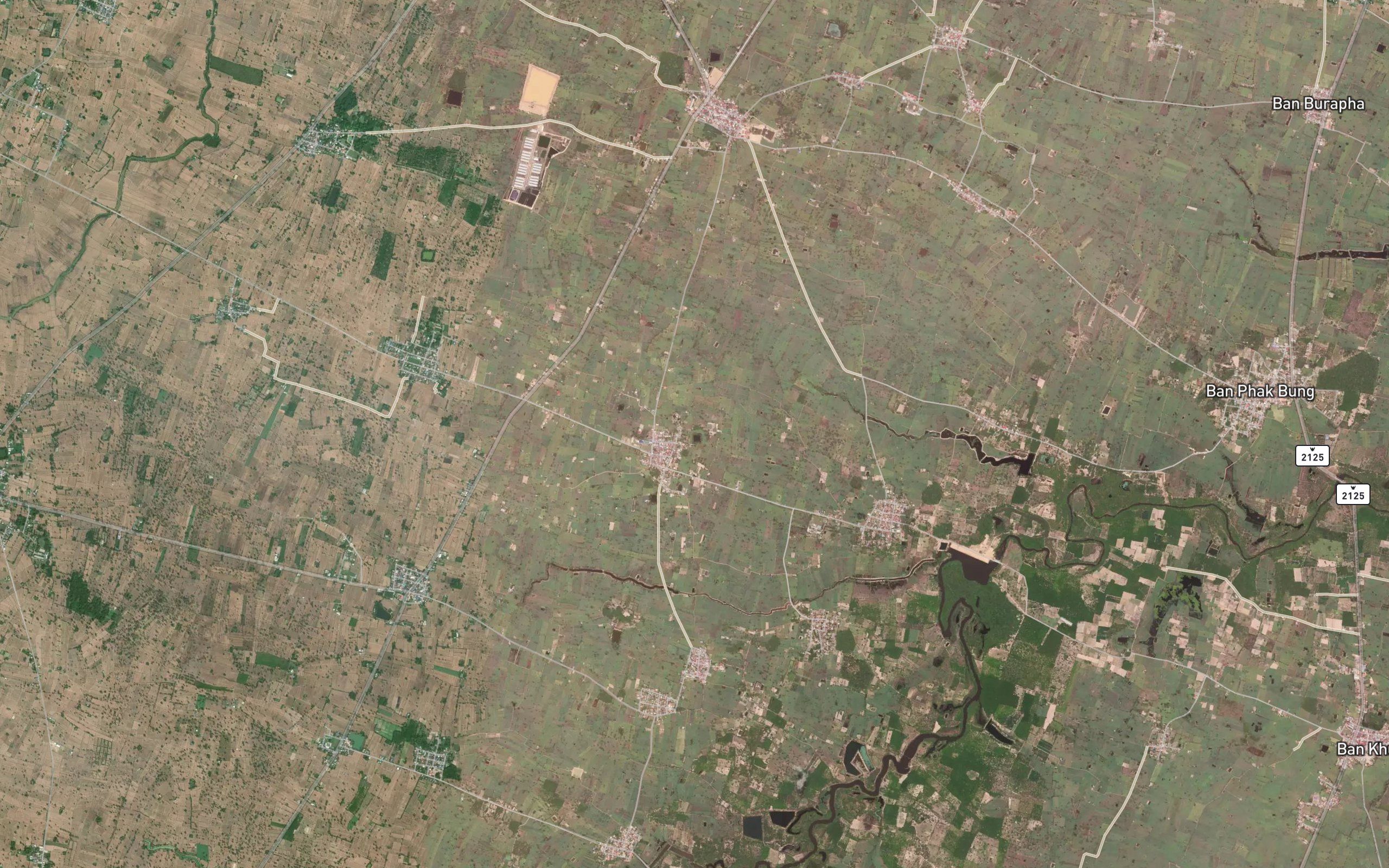 Nong Alai