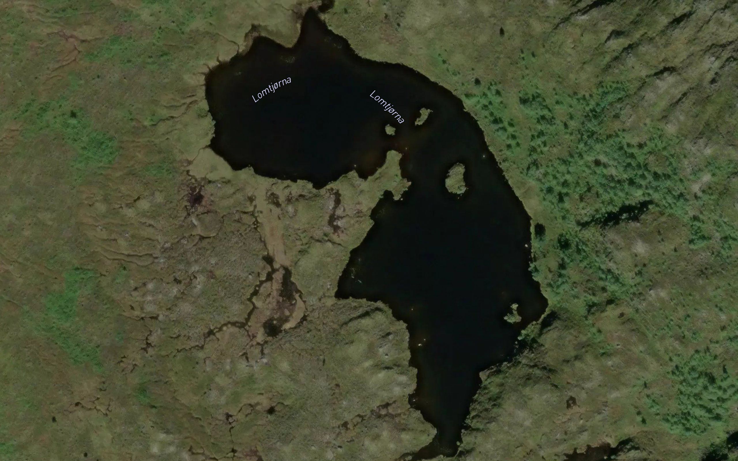Lomtjorna