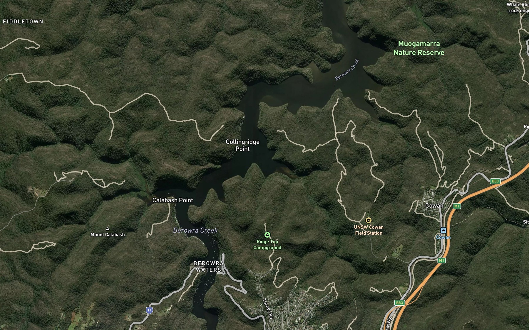 Satellite map of the Half Moon Bay