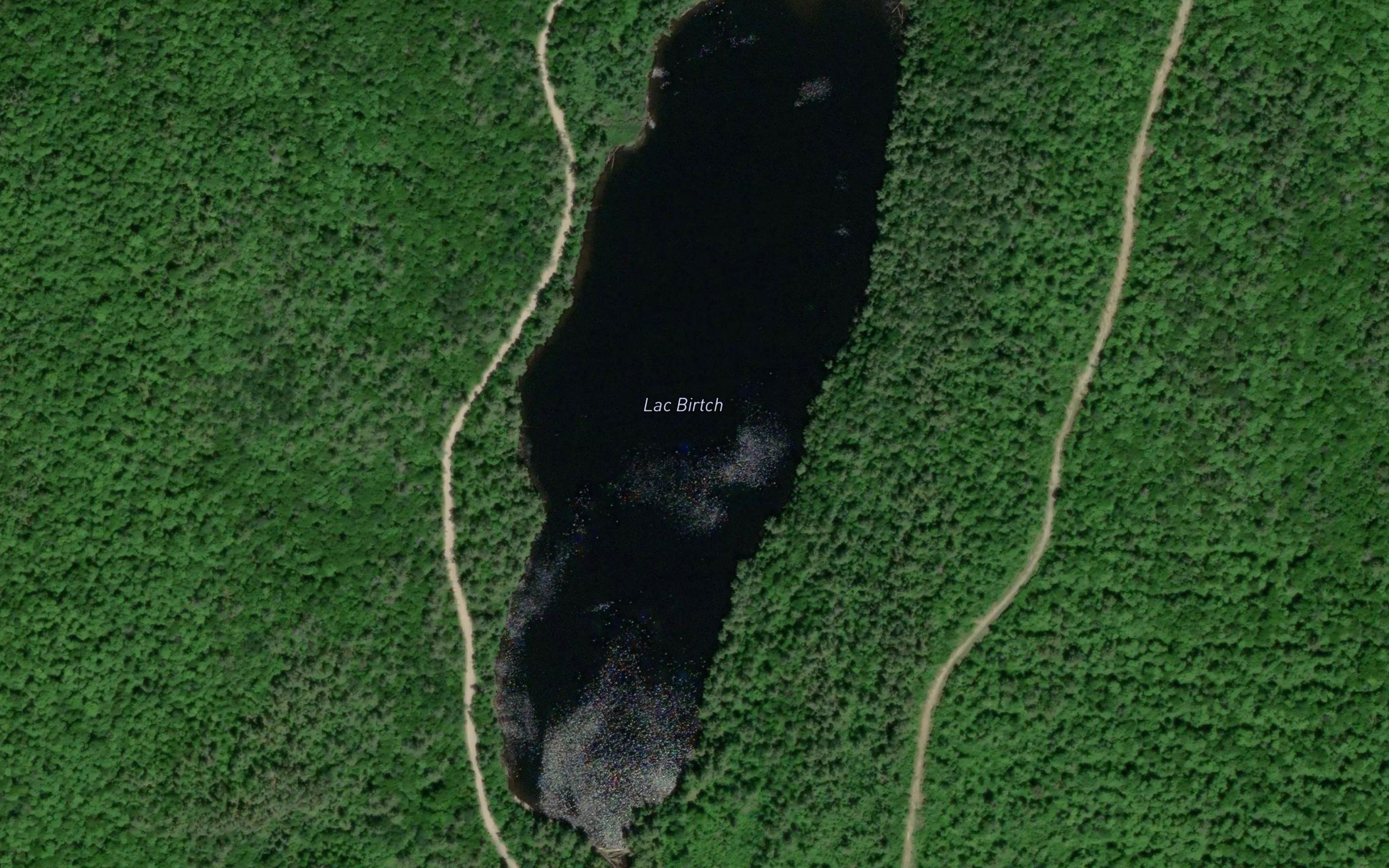 Lac Birtch