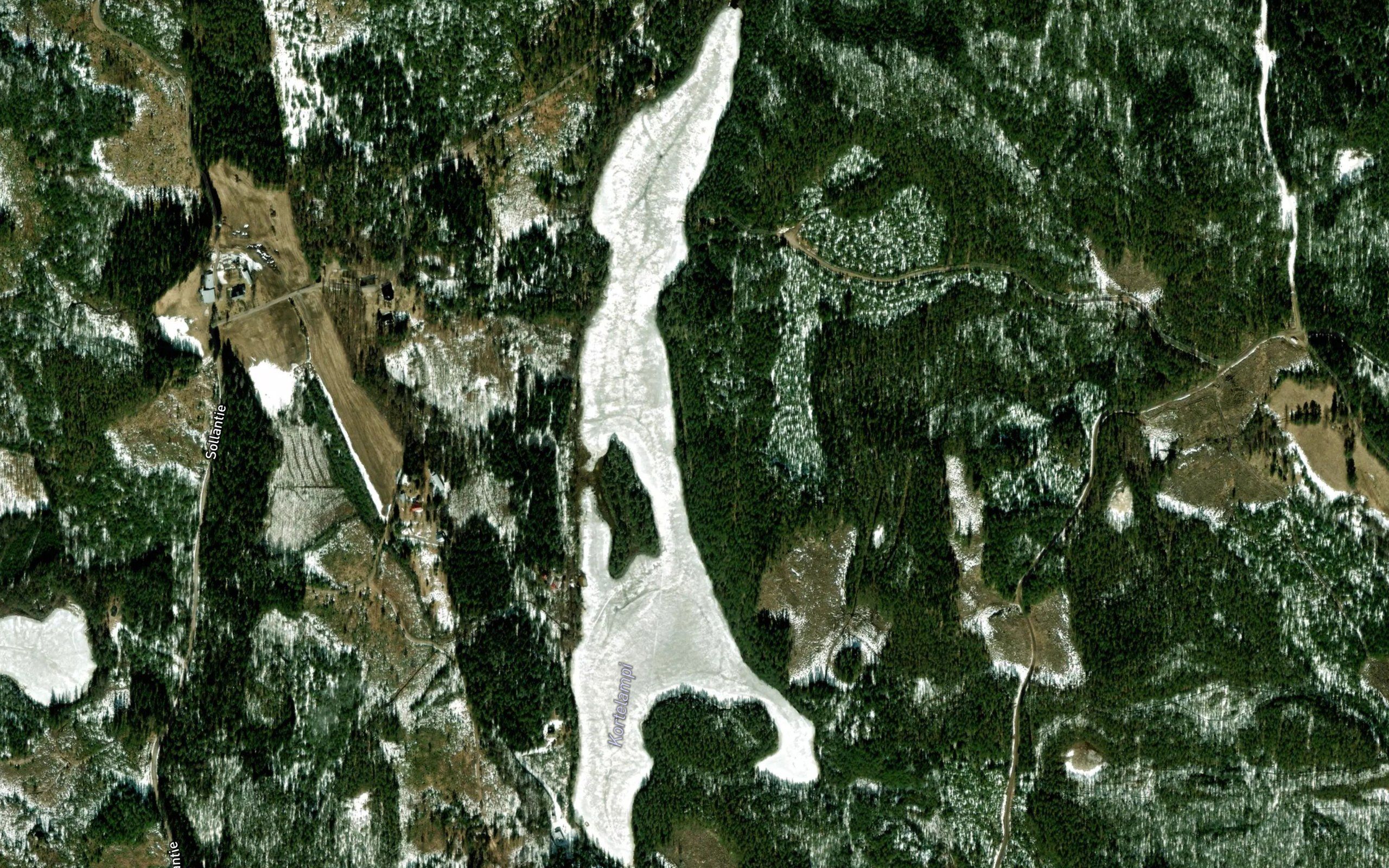 Kortelampi