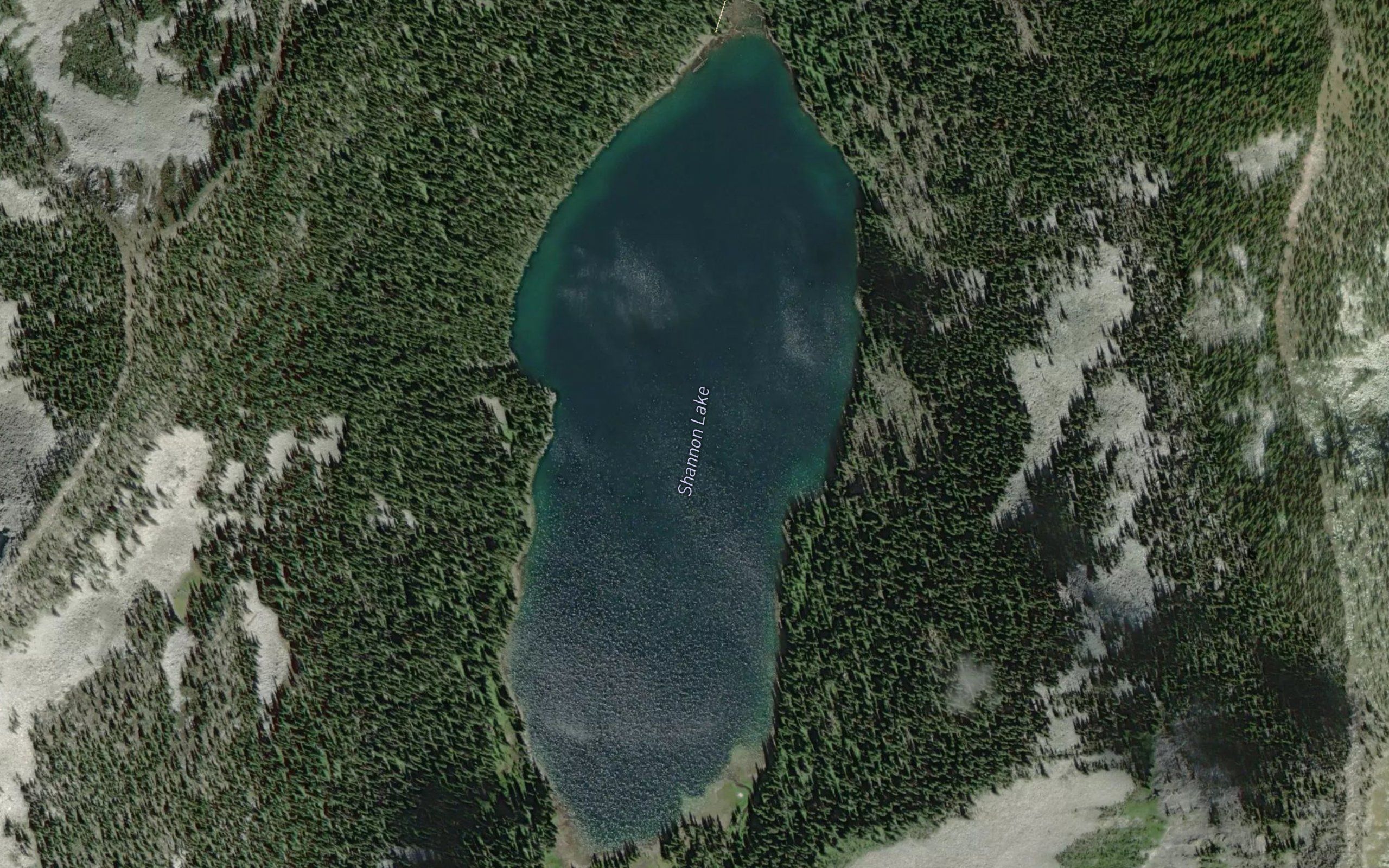 Shannon Lake