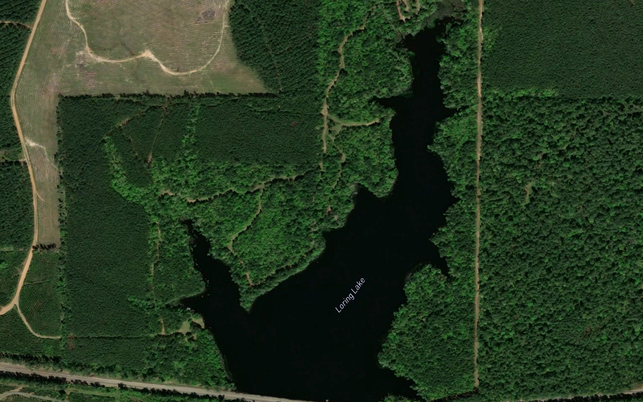 Loring Lake