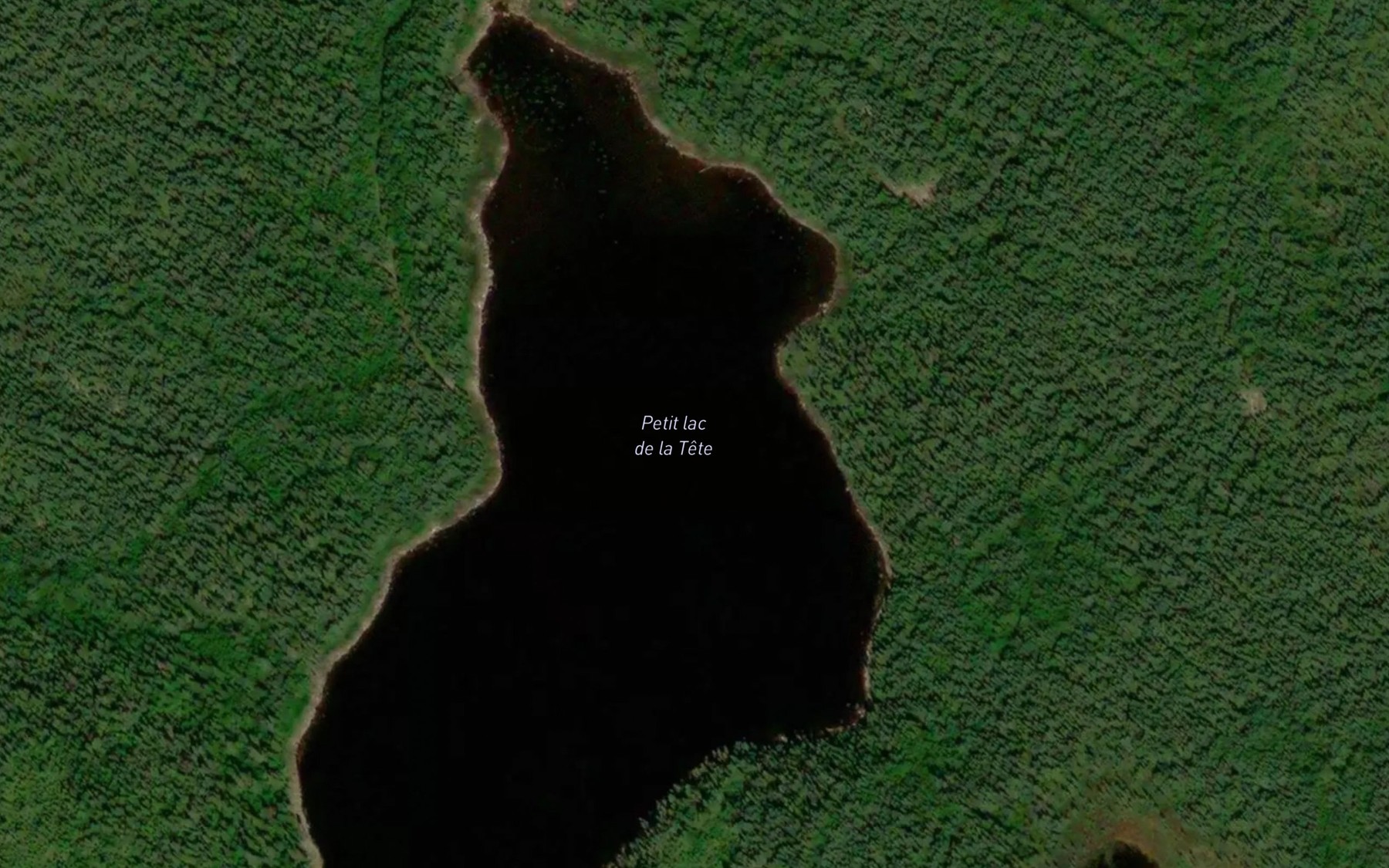 Satellite map of the Petit lac de la Tete