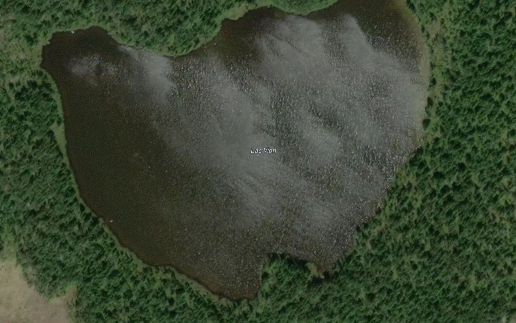 Satellite map of the Lac Vion