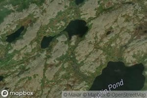 Caplin Pond